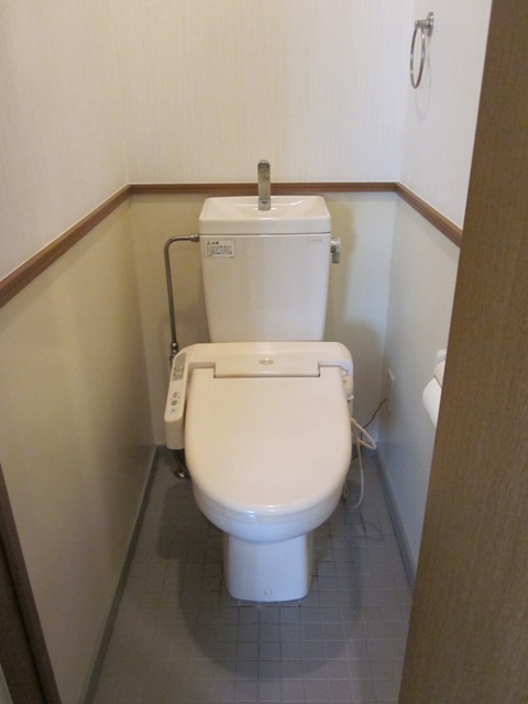 Toilet. Heating toilet seat bidet toilet