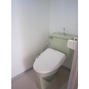 Toilet. Hot water cleaning function with toilet seat