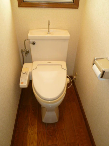 Other. Toilet is located in both the first and second floors