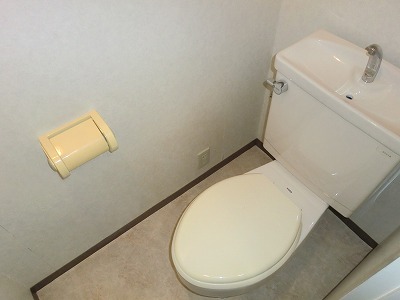 Toilet. A separate room is a picture