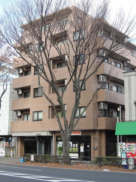 Building appearance. High-rise condominiums along the Koshu Kaido. 