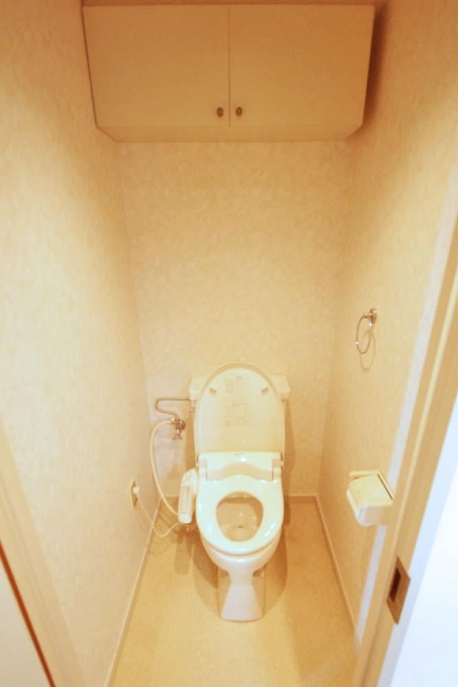 Toilet. Washlet with a restroom. Is beautiful so we of course pro to clean.