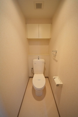 Toilet. Toilet