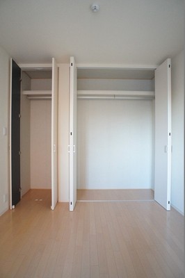 Receipt. Large closet that can be refreshing accommodate the increasing number tend to luggage