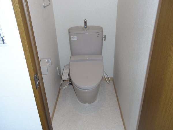 Other. Toilet