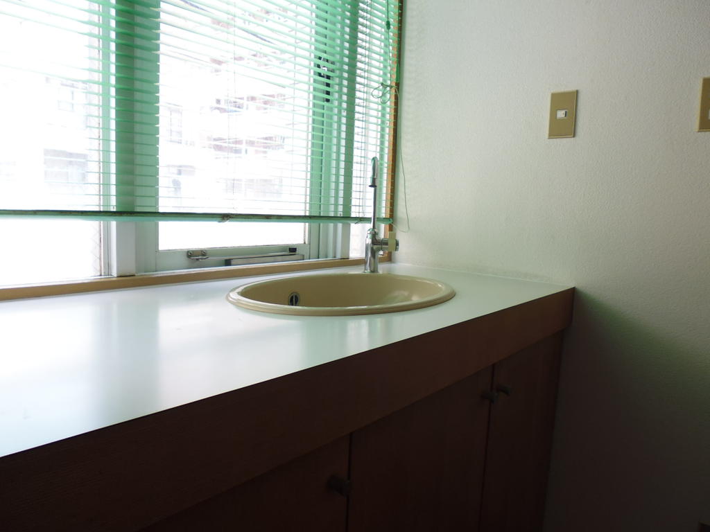 Washroom. Wash basin