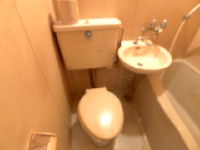 Toilet