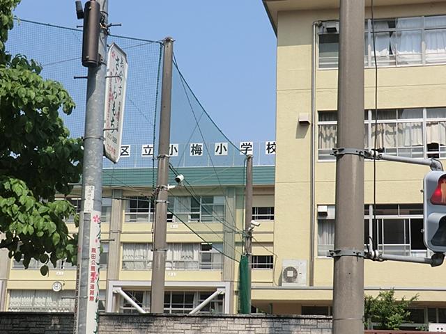 Primary school. 350m to Sumida Ward Koume Elementary School