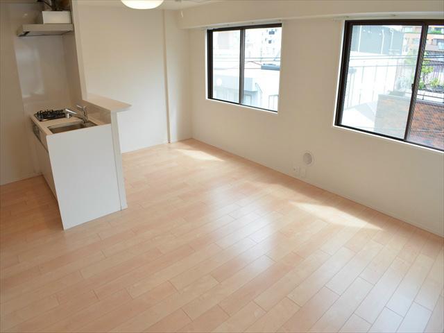 Living. Bright living plugging light from window