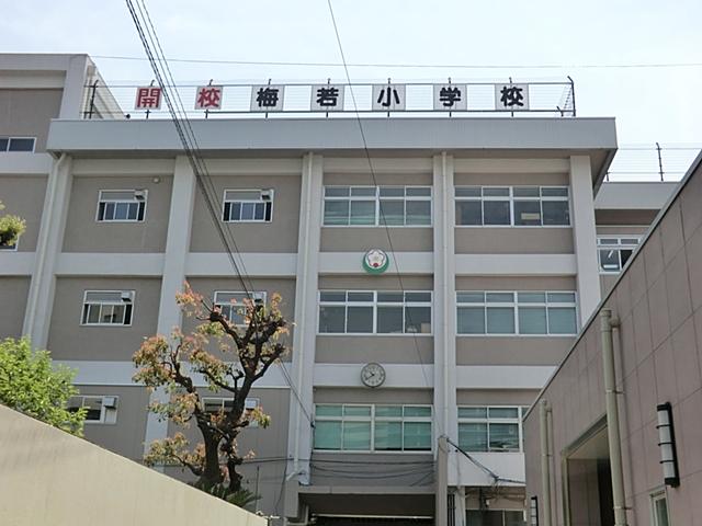 kindergarten ・ Nursery. Umewaka 209m to nursery school