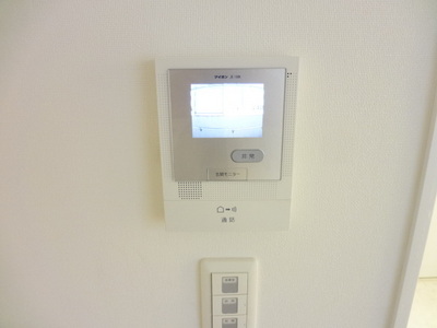 Security. TV monitor intercom