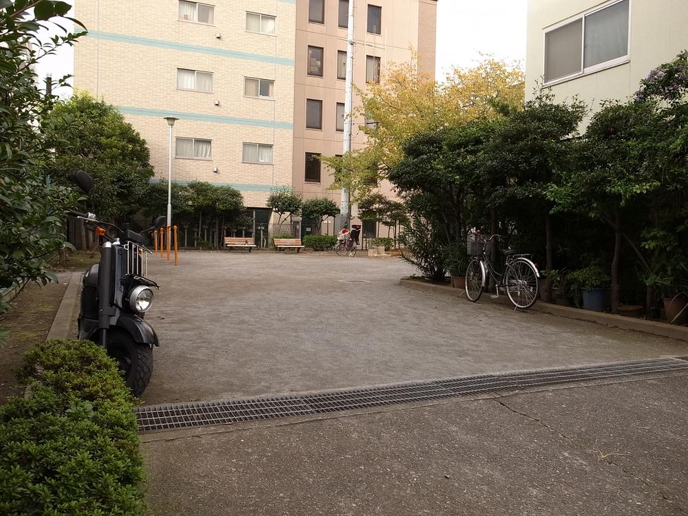 Other. Local east side adjacent park (November 2013) Shooting