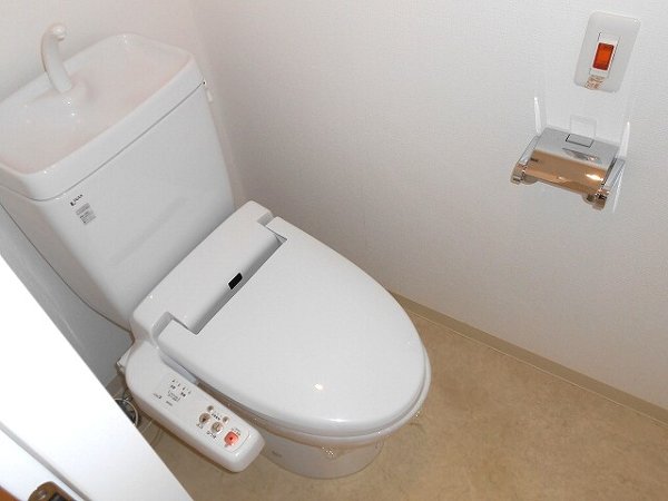 Toilet. Warm water washing toilet seat