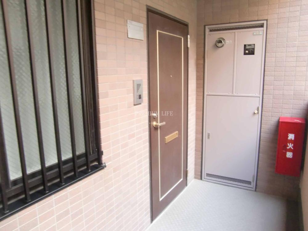 Entrance. Door × beige wall of brown