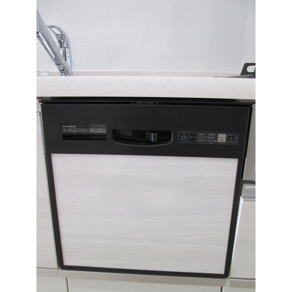 Other introspection. Dishwasher