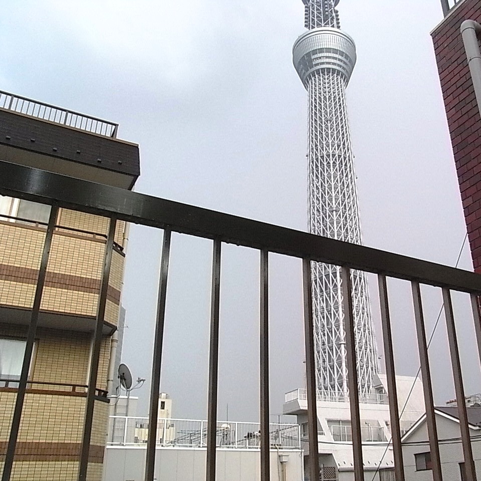 View. Overlooking the Sky Tree from the south balcony