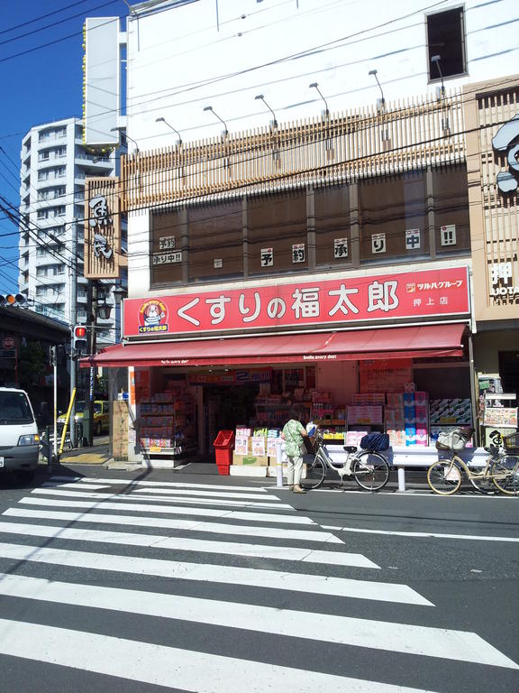 Dorakkusutoa. Medicine of Fukutaro the push-up shop 341m until (drugstore)