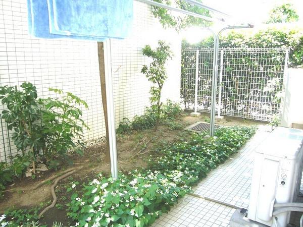 Garden. Gardening can enjoy spacious garden!