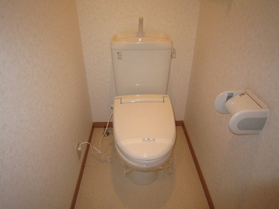 Toilet. Toilet