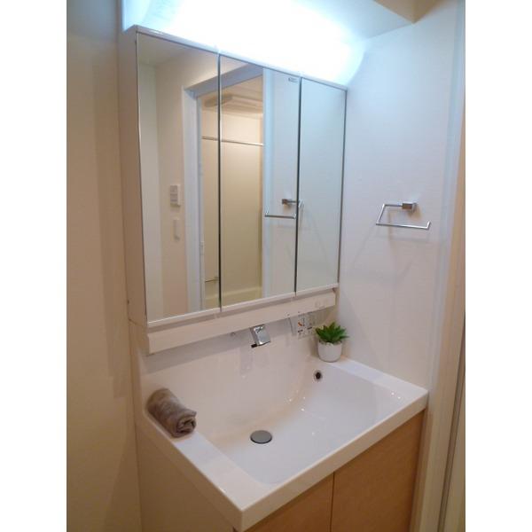 Wash basin, toilet. Washroom