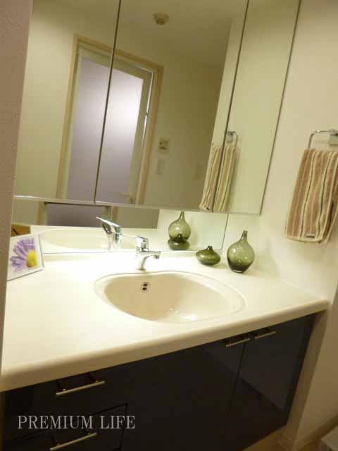 Wash basin, toilet.  [Bathroom vanity] Vanity storage are also rich with.