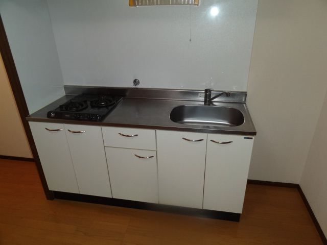 Kitchen. Two-burner gas stove system Kitchen