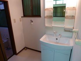 Washroom. Shampoo dresser