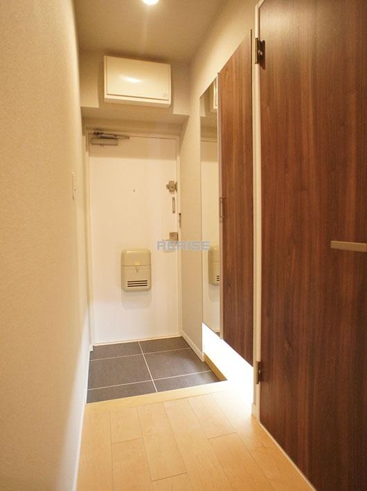 Entrance. There is also a mirror to the front door