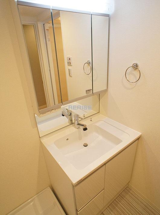 Wash basin, toilet. Vanity with a shower head