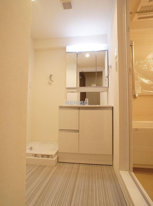 Wash basin, toilet. Dressing room