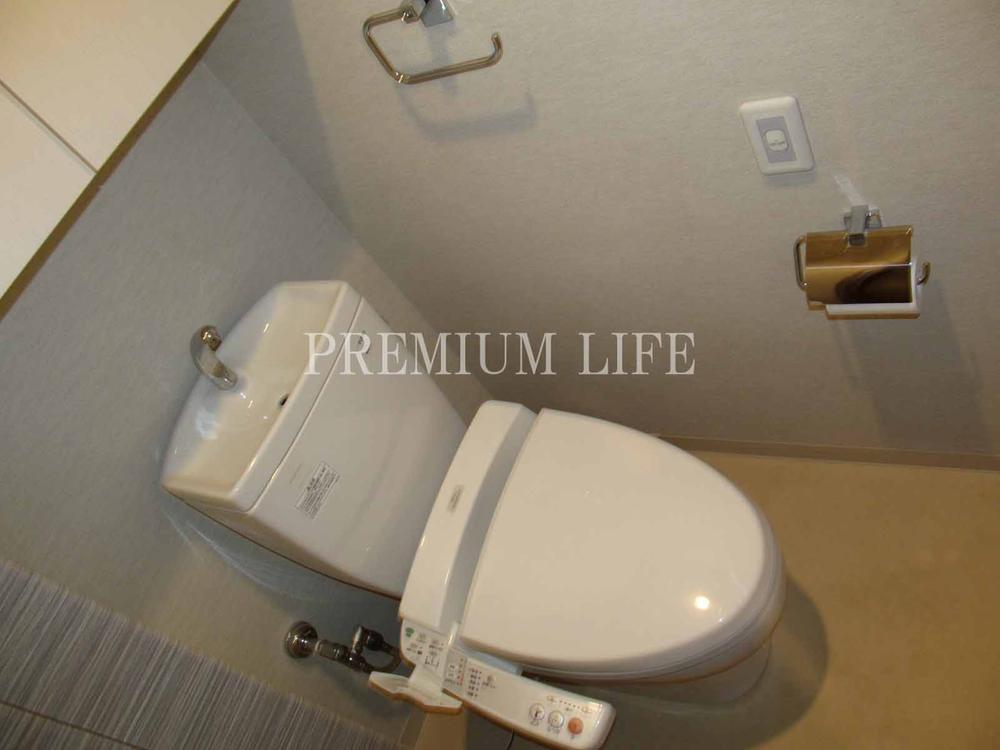 Toilet. Washlet toilet