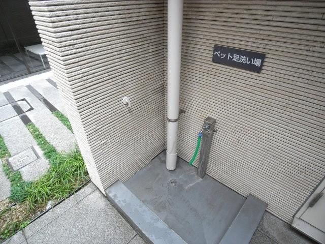 Other common areas. Pet foot washing place