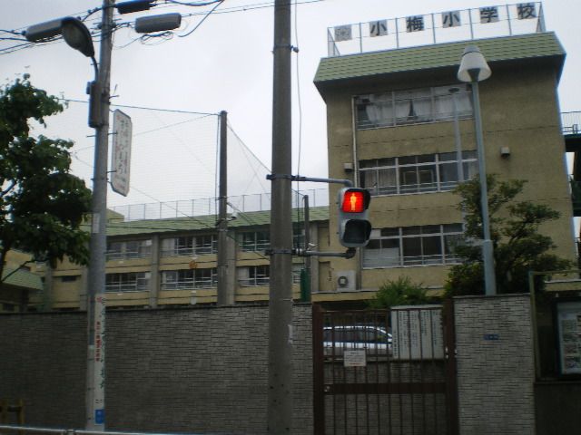 Primary school. Municipal Koume 350m up to elementary school (elementary school)