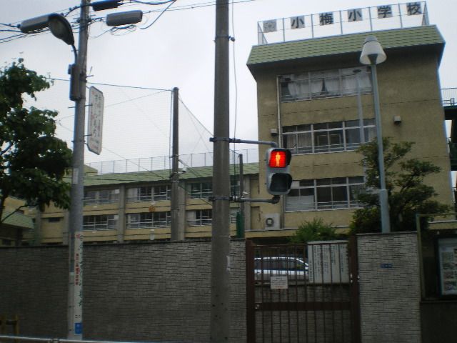 Primary school. Ward Koume up to elementary school (elementary school) 750m