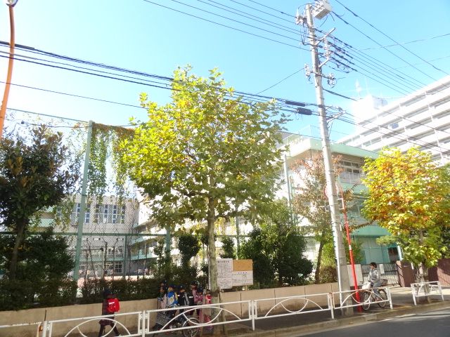 Primary school. Municipal 50m green until the elementary school (elementary school)