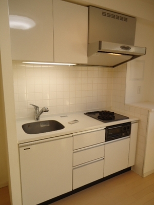 Kitchen. Built-in two-burner gas stove with grill