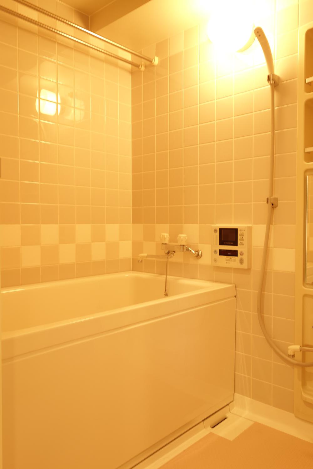 Bathroom. Indoor (March 2013) Shooting