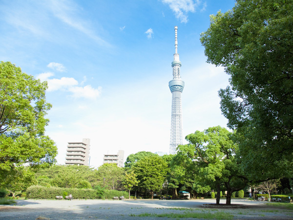 Surrounding environment. The lush greenery praised Ward Sumida park (about 470m / 6-minute walk)