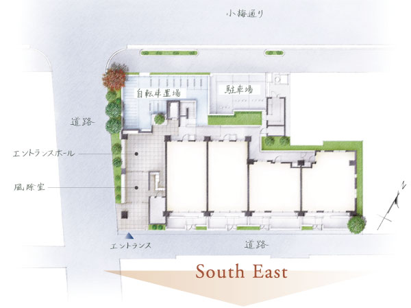 Interior. Site layout ※ In those that caused draw on the basis of the drawings planting, In fact a slightly different.