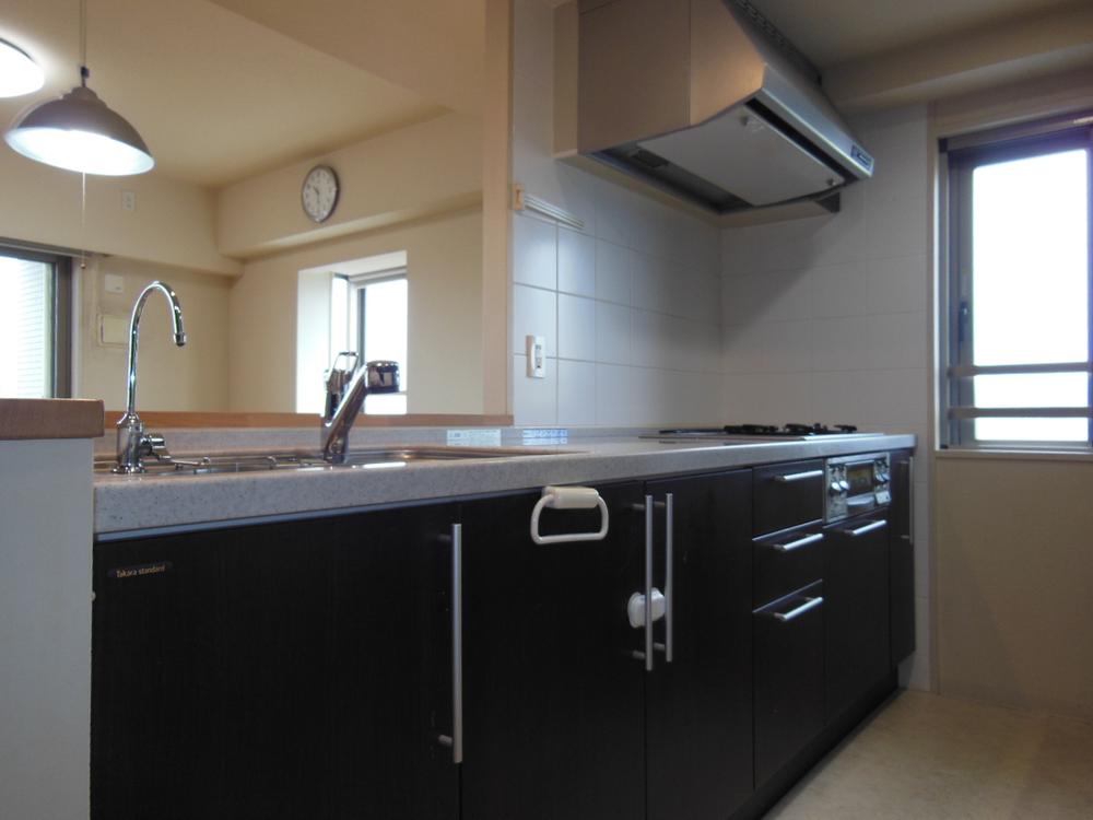 Kitchen. Silent-type wide sink and counter kitchens with built-in water filter (12 May 2013) Shooting