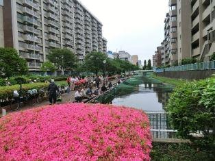 Streets around. ~ Enhancement of the surrounding environment ~  Large Yokogawa water park
