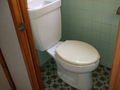 Toilet