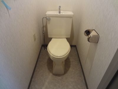 Toilet. The photograph is a 401, Room.
