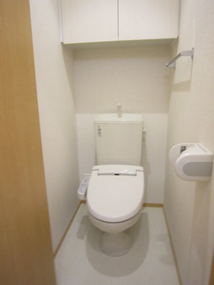 Toilet. Bathroom with a shower. Spacious space. With built-in faucet