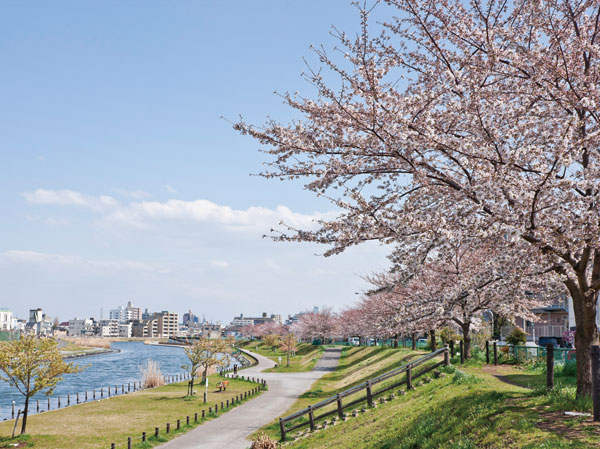 Surrounding environment. It is located along the old Nakagawa, About 250 lines old Nakagawa waterside park cherry tree has been planted over a period of approximately 2700m of. (Formerly Nakagawa waterfront park / About 50m ・ 1-minute walk)