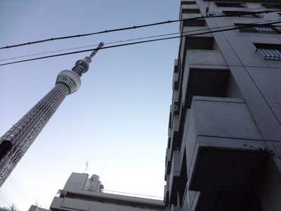 Building appearance. Sky tree