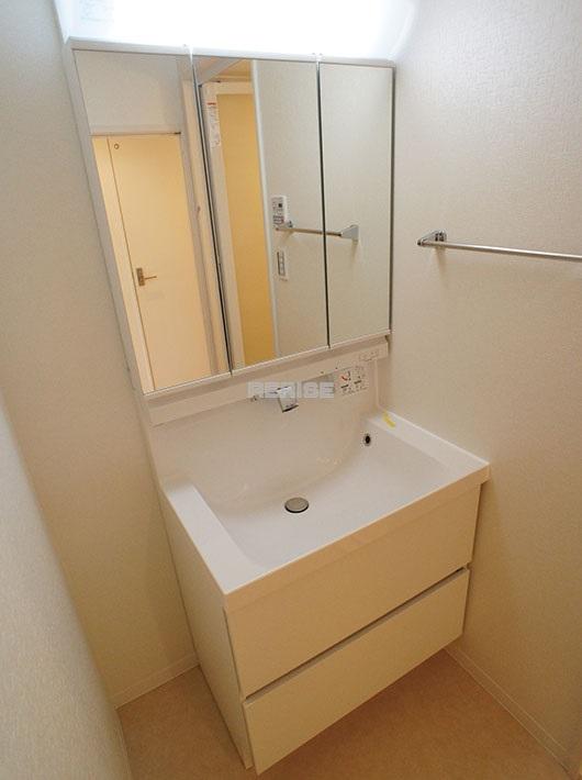 Wash basin, toilet. Vanity with a shower head