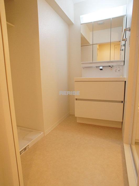 Wash basin, toilet. Dressing room