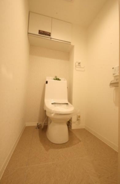 Toilet. Same specifications is a picture.