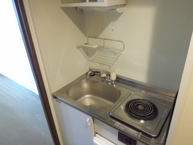 Sumida-ku, Tokyo Koto Bridge 1